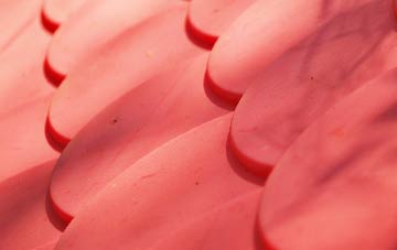 Rye Street plastic roof costs